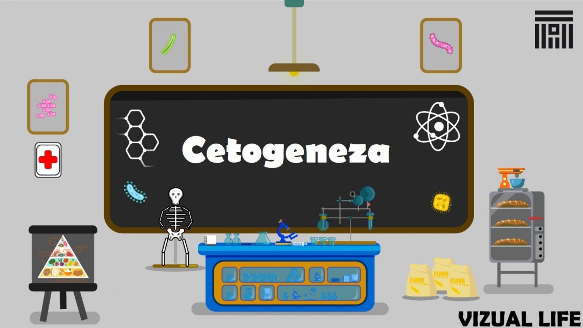 Cetogeneza