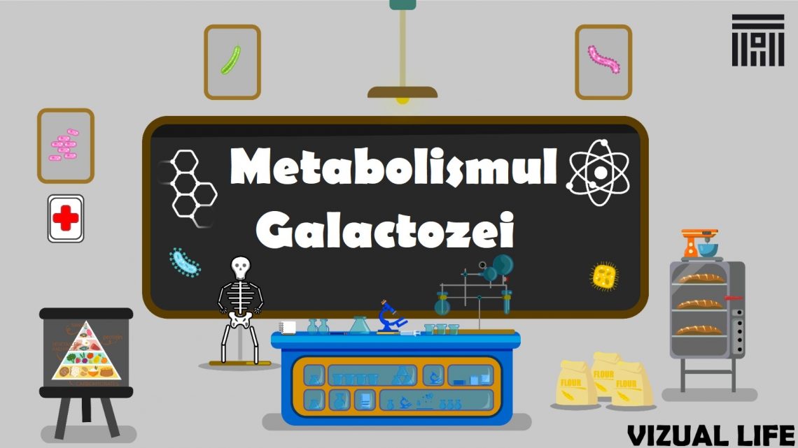 Metabolismul galactozei