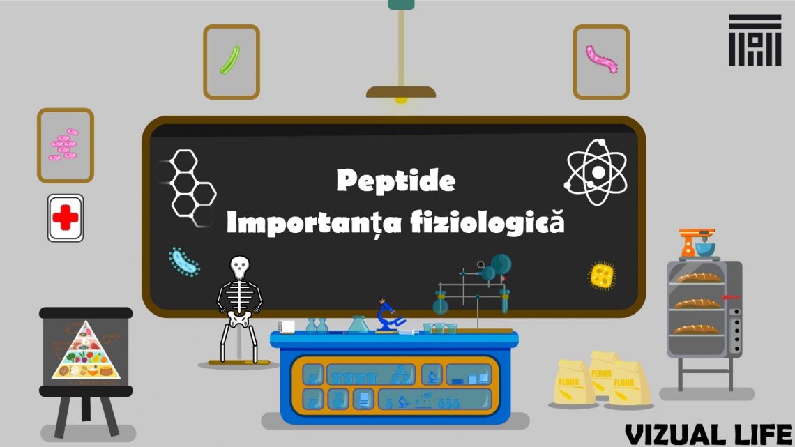 Peptide. Importanța fiziologică