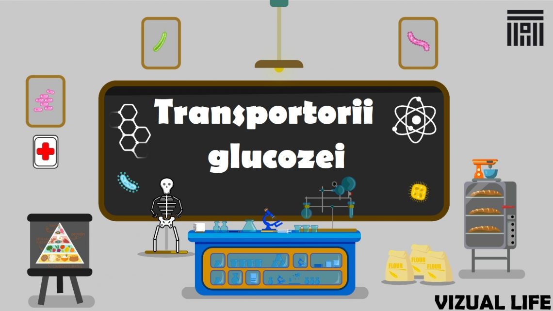 Transportorii glucozei