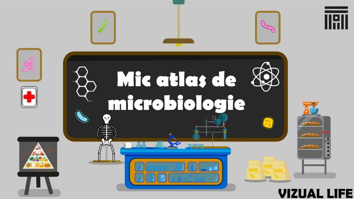 Mic atlas de microbiologie