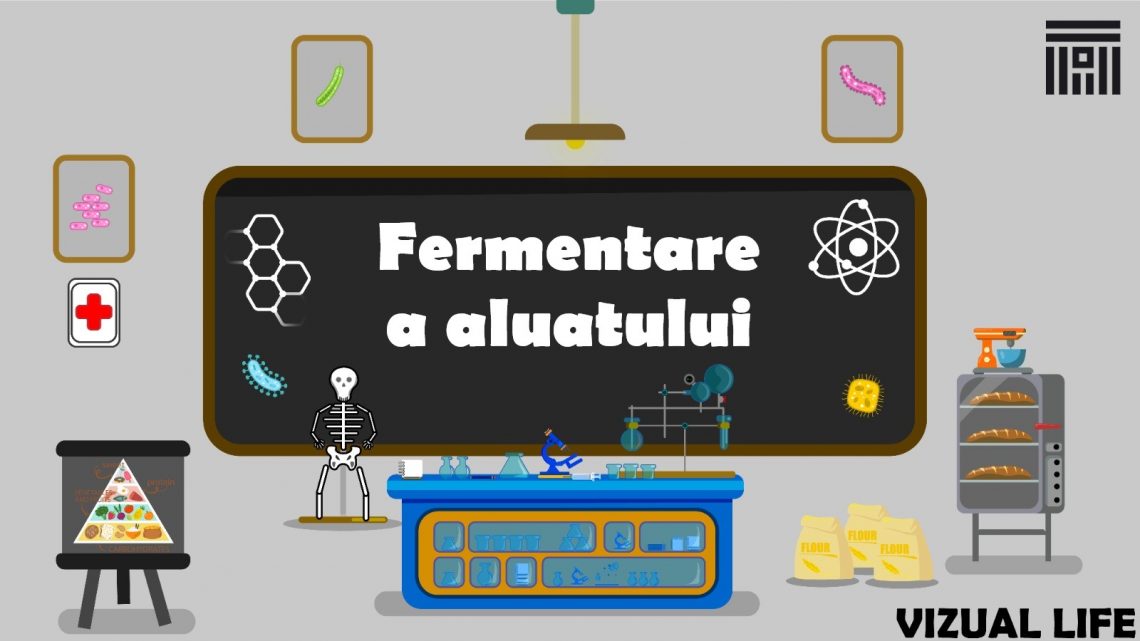 Fermentarea aluatului utilizând  dospitorul de aluat tip TELBO