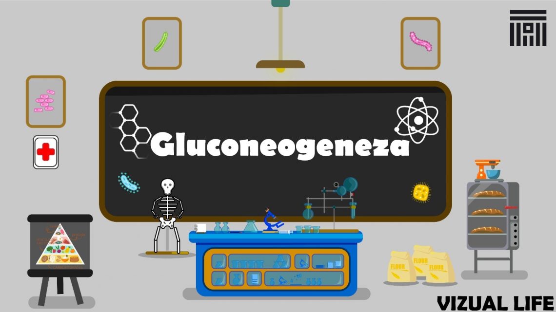 Gluconeogenza