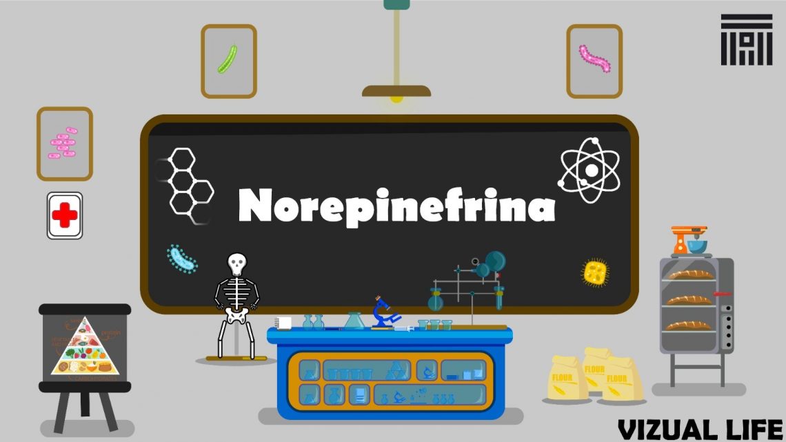 Norepinefrina