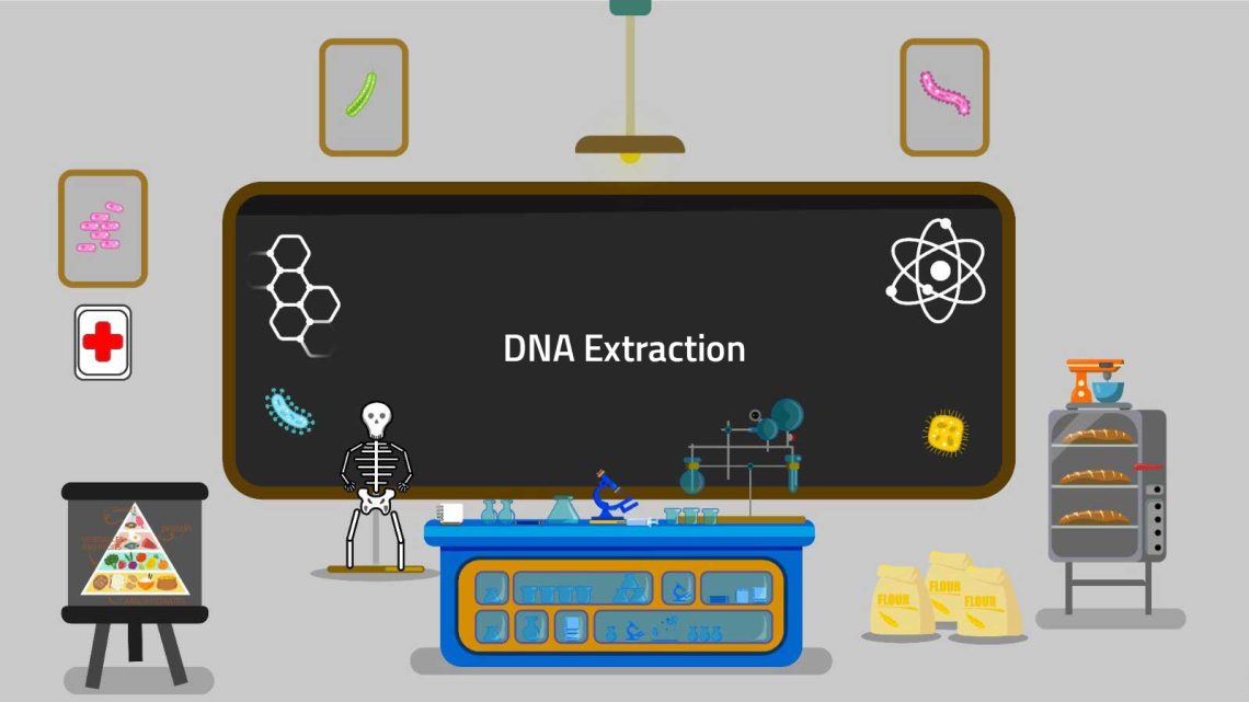 DNA Extraction